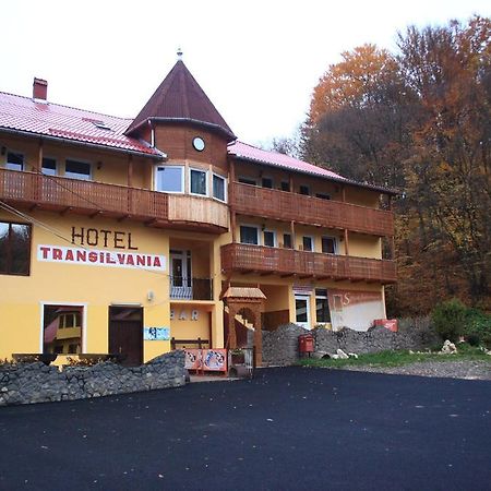 Vila Transilvania Bálványos Exteriér fotografie