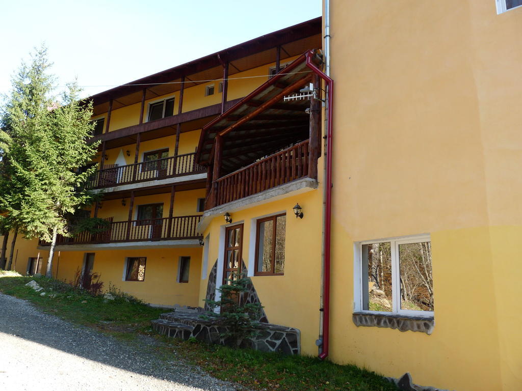 Vila Transilvania Bálványos Exteriér fotografie