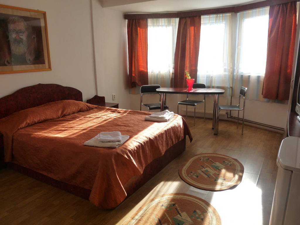 Vila Transilvania Bálványos Pokoj fotografie
