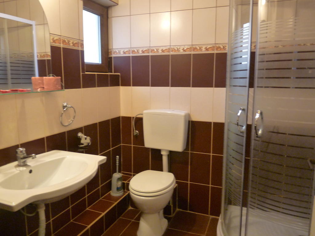 Vila Transilvania Bálványos Pokoj fotografie