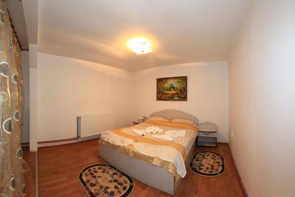 Vila Transilvania Bálványos Pokoj fotografie
