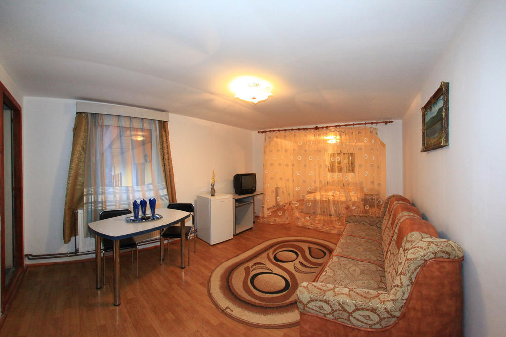 Vila Transilvania Bálványos Pokoj fotografie